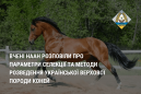 Вчені НААН розповіли про параметри селекції та методи розведення української верхової породи коней Вчені НААН розповіли про параметри селекції та методи розведення української верхової породи коней